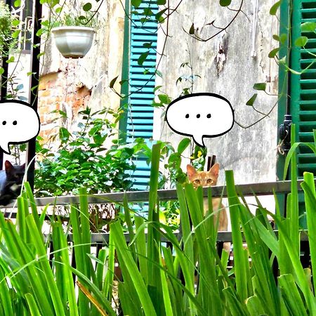 Azalea Apartment ハノイ市 エクステリア 写真