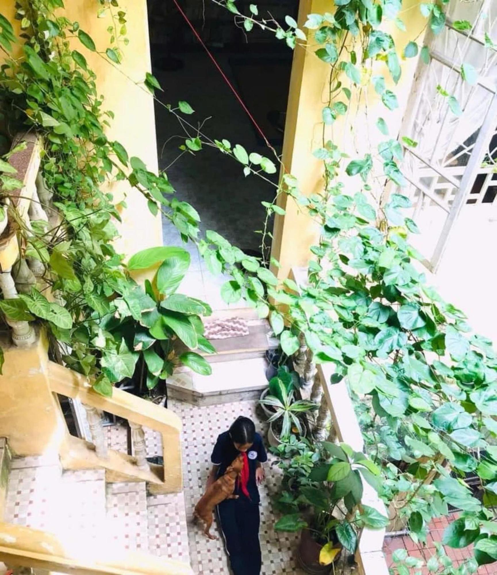 Azalea Apartment ハノイ市 エクステリア 写真