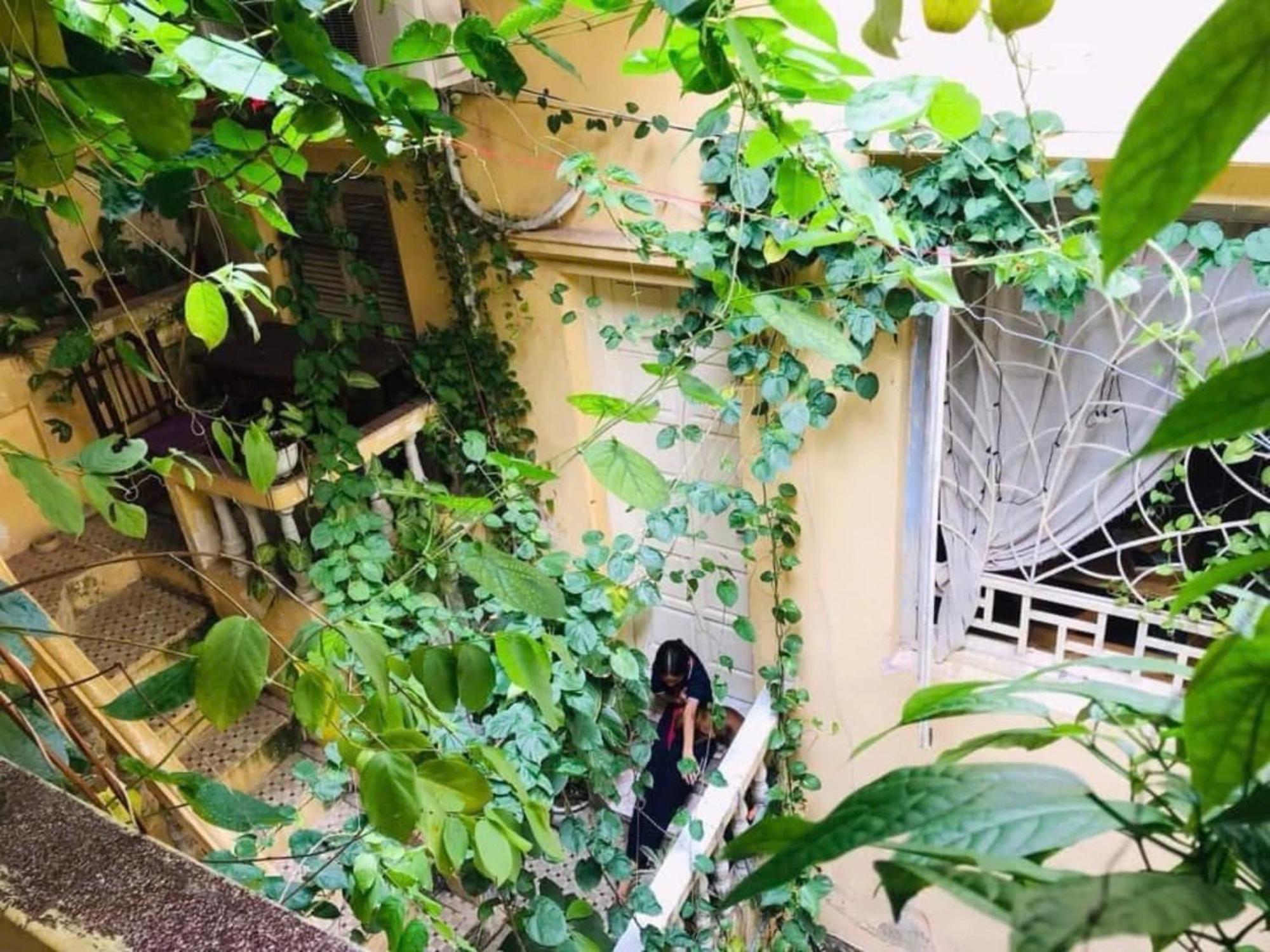 Azalea Apartment ハノイ市 エクステリア 写真