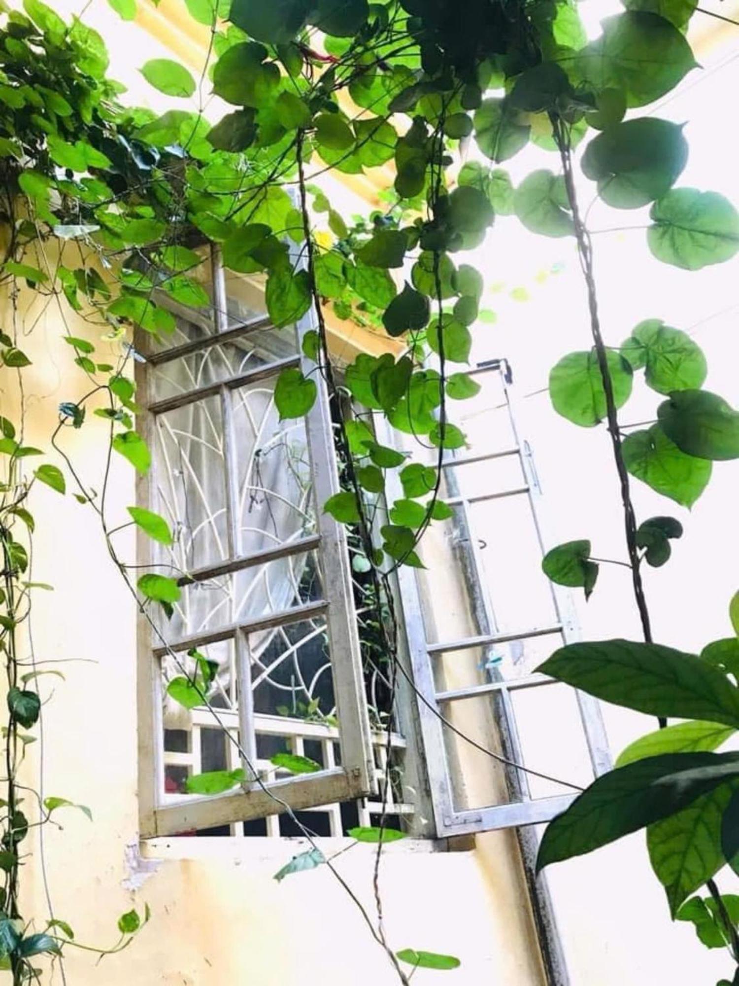Azalea Apartment ハノイ市 エクステリア 写真